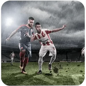 TAYOPH Sports Betting